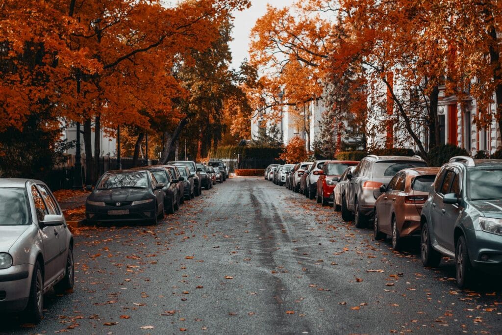 A peaceful street view lined with parked cars and vivid orange autumn leaves.